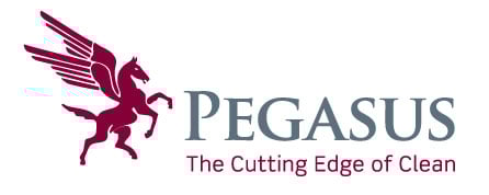 PegasusLogo